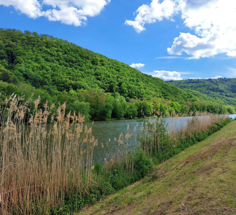 Zum Stausee Bad Munster am Stein-Ebernburg Ngoại thất bức ảnh